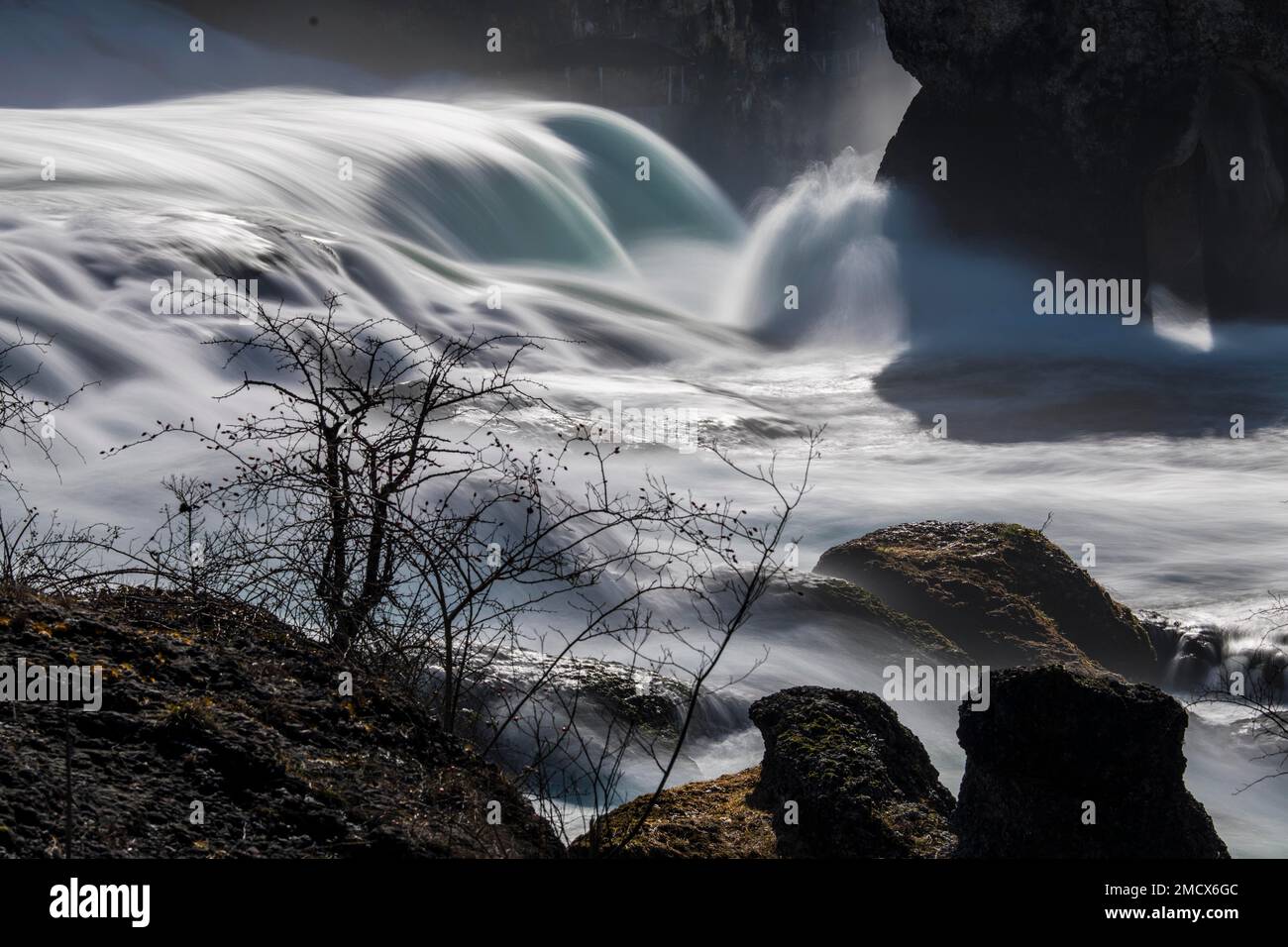 Cascata, cascata del Reno, Sciaffusa, SH, Svizzera Foto Stock