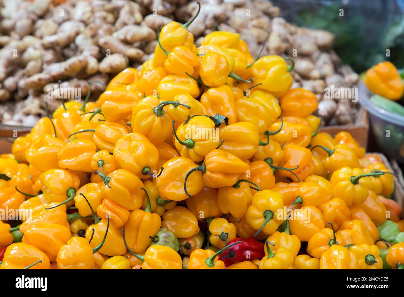 Un grosso mucchio di peperoni gialli Scotch Bonnet Chilli a Brixton London Foto Stock