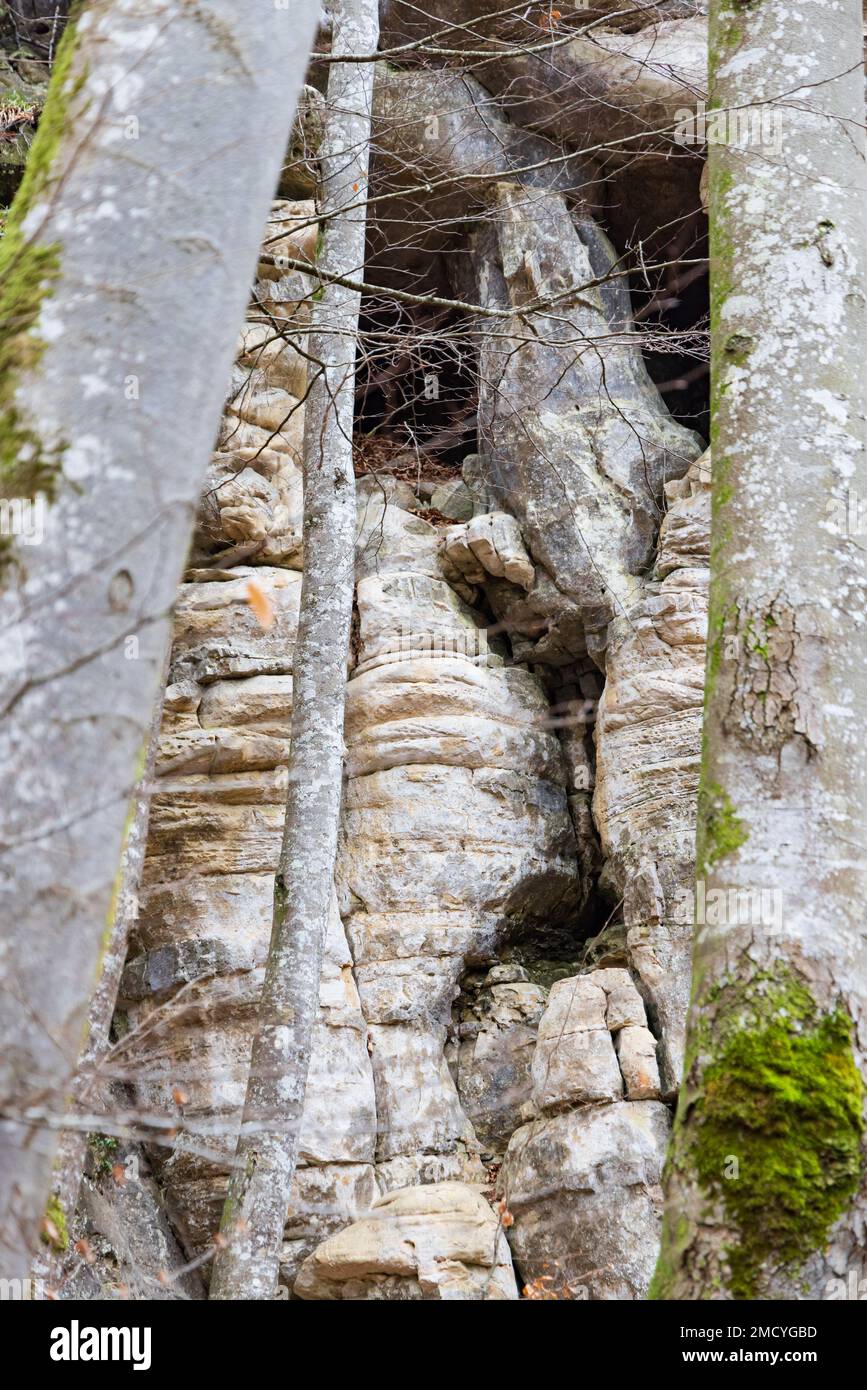 Rock lungo il fiume Sure a Mullerthal in Lussemburgo che sembra un grande mostro che guarda dietro gli alberi con gli occhi, il naso grande e la bocca Foto Stock