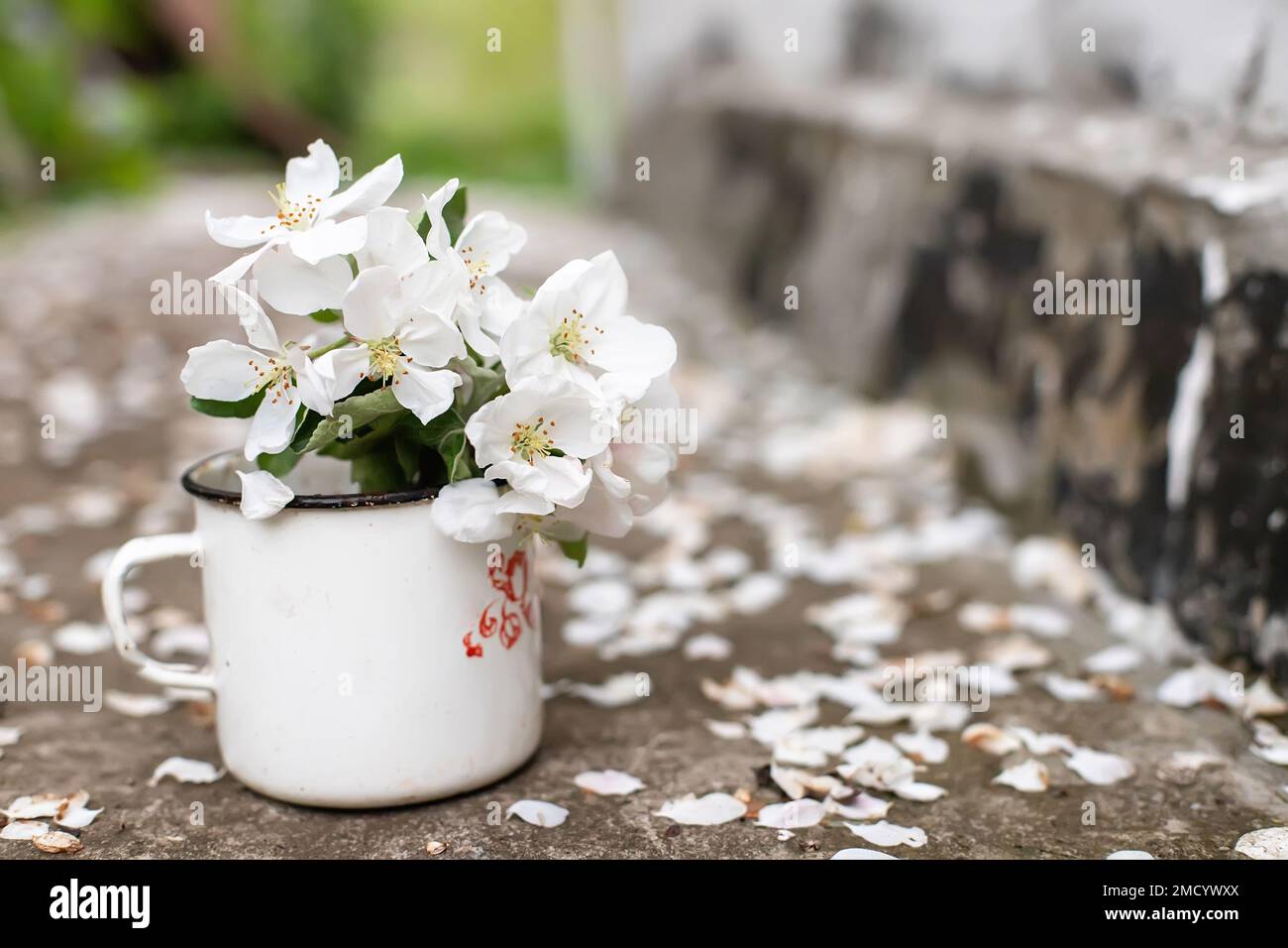 Vita morta con tazza e bouquet di rami con fiori di mela. Petali bianchi di alberi fioriti caduti su cemento. Foto Stock