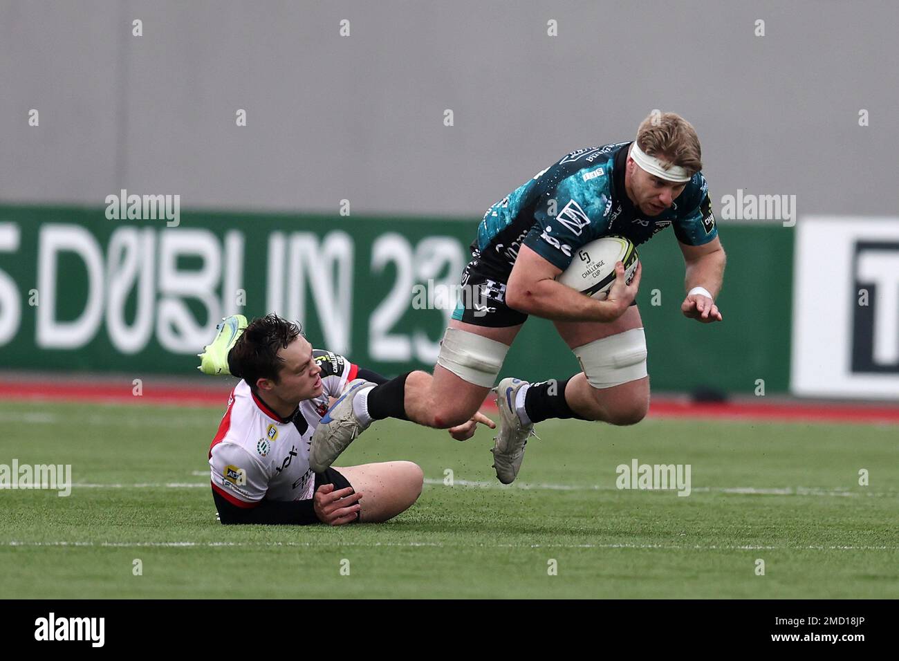 Ystrad Mynach, Regno Unito. 22nd Jan, 2023. Aaron Wainwright dei draghi è affrontato. European Challenge Cup rugby, pool B match, Dragons contro Emirates Lions al CCBC Centre for Sporting Excellence di Ystrad Mynach, Galles, domenica 22nd gennaio 2023. pic di Andrew Orchard/Andrew Orchard sports photography/Alamy Live news Credit: Andrew Orchard sports photography/Alamy Live News Foto Stock