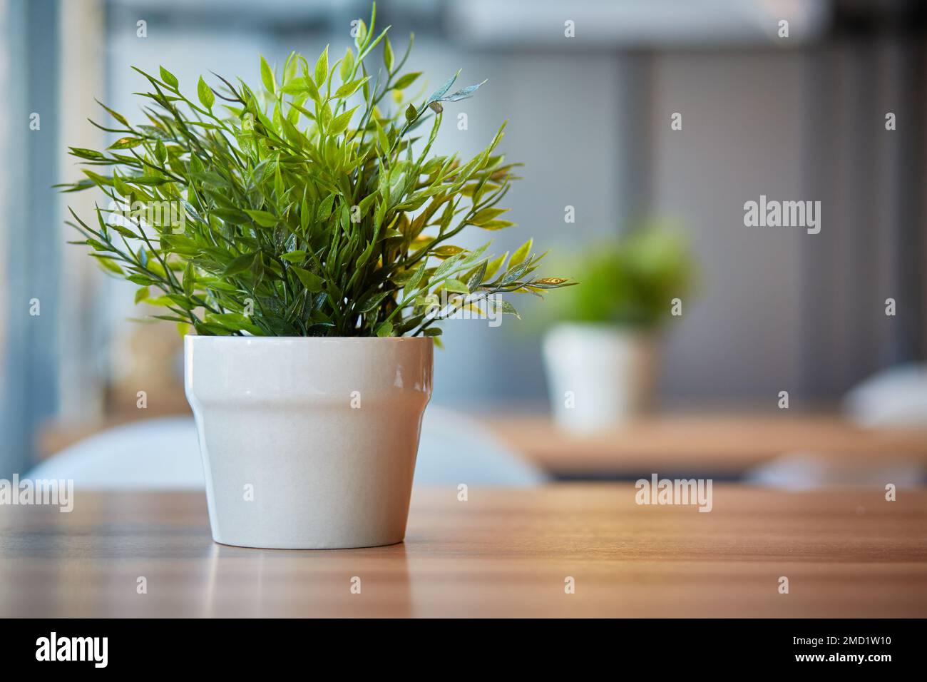 Pentole di piante verdi in ufficio sul tavolo. Sfondo sfocato con spazio per il testo. Foto Stock