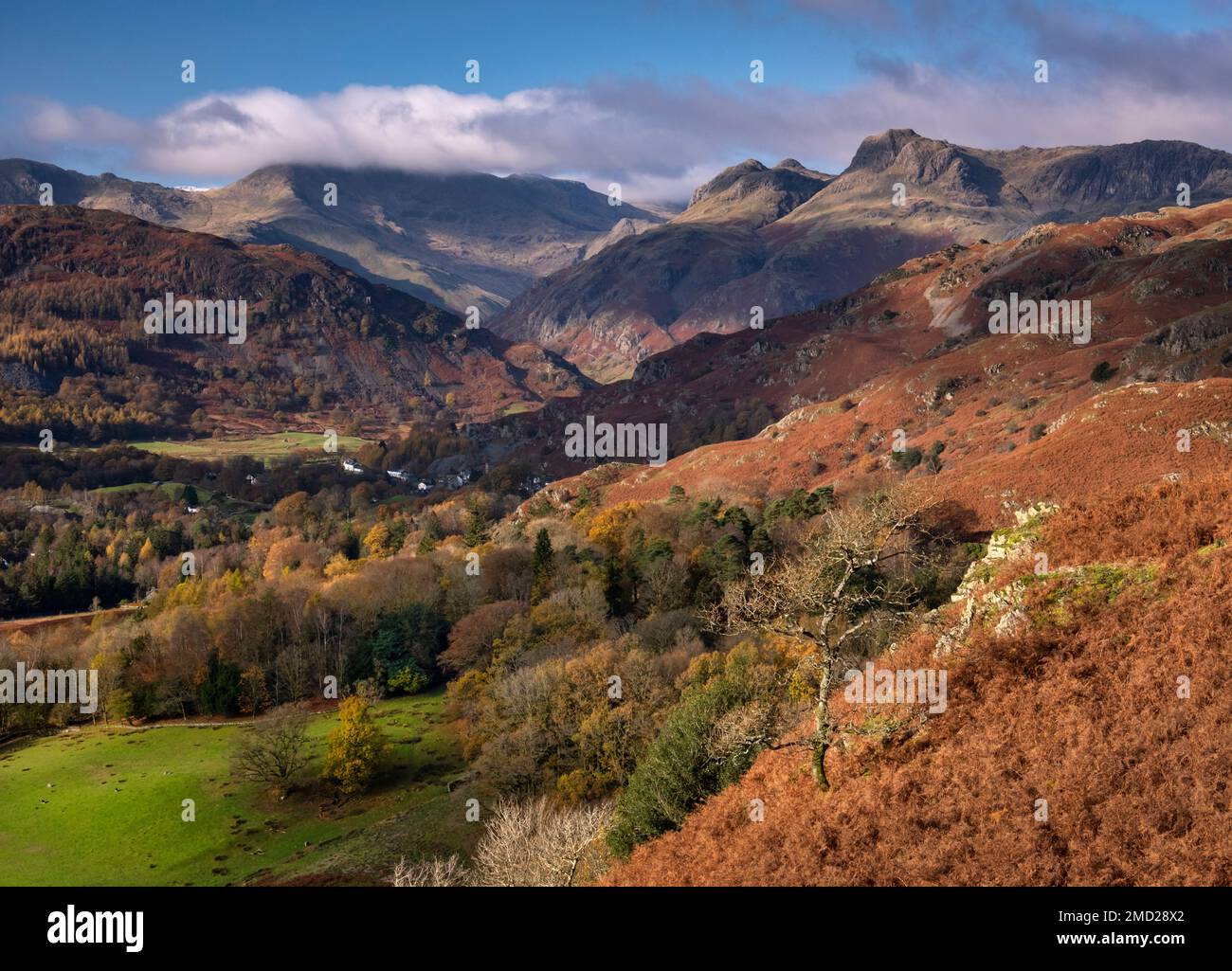 Great Langdale Valley e Langdale Pikes in autunno, Lake District National Park, Cumbria, Inghilterra, Regno Unito Foto Stock