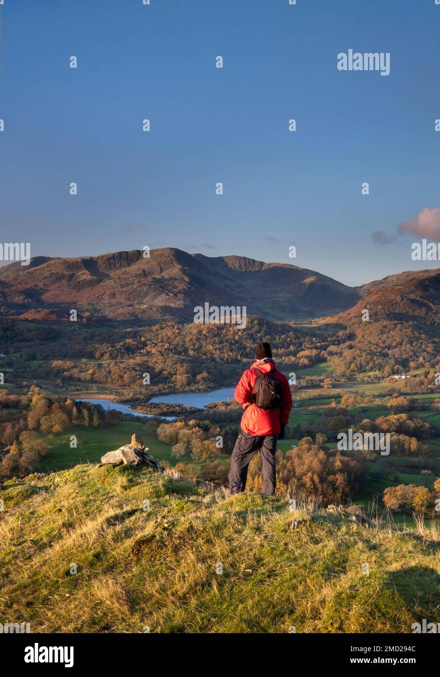Walker che si affaccia su Elter Water e Wetherlam da Loughrigg cadde in autunno, Lake District National Park, Cumbria, Inghilterra, Regno Unito Foto Stock