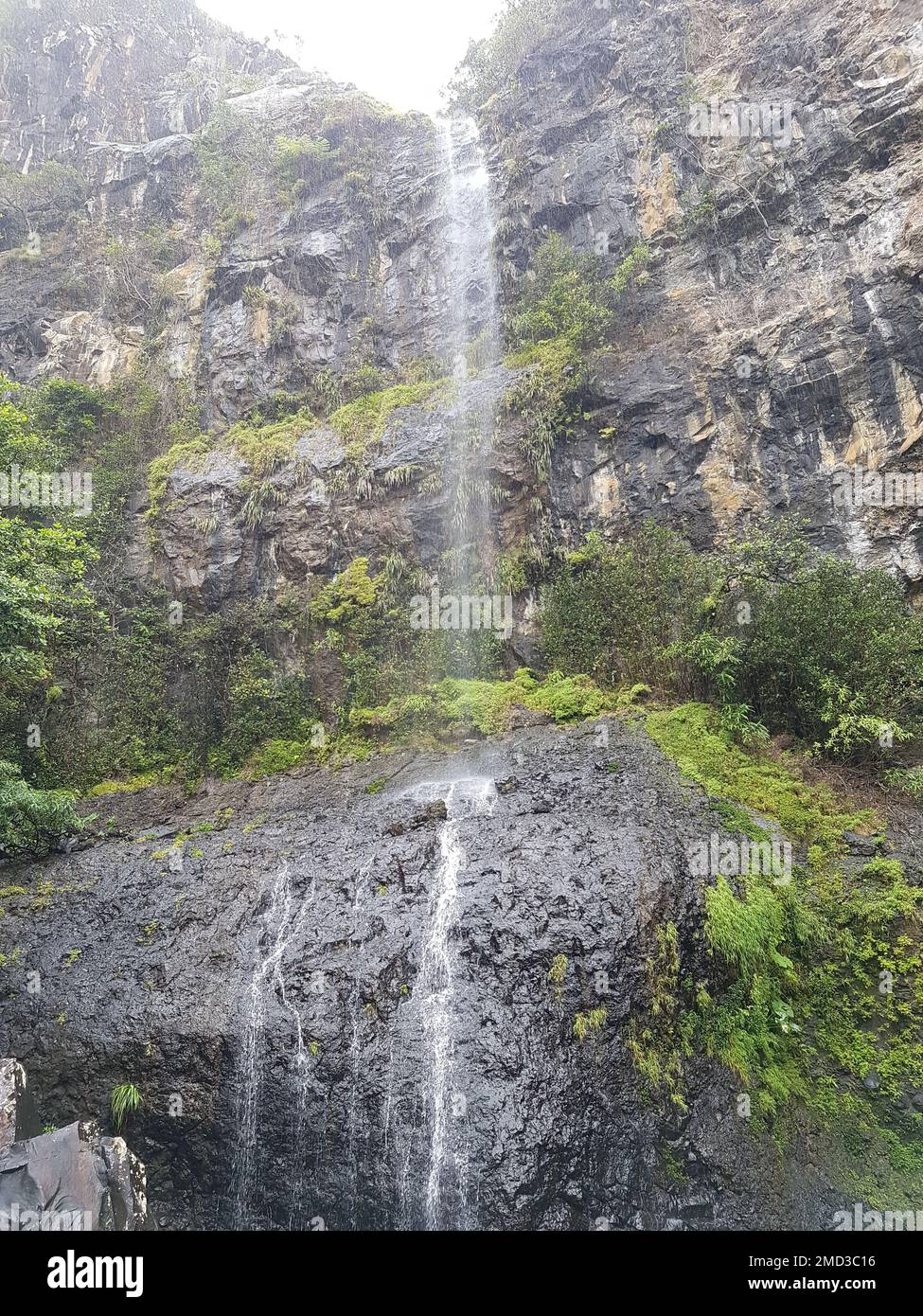 mauritius goerges nero fiume parco nazionale cascata Foto Stock