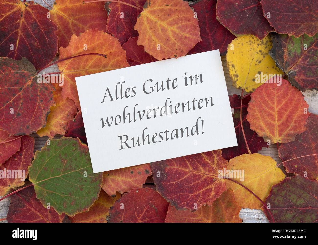 Carta con coloratissime foglie autunnali e scritte tedesche: Tutto il meglio nella meritata pensione Foto Stock