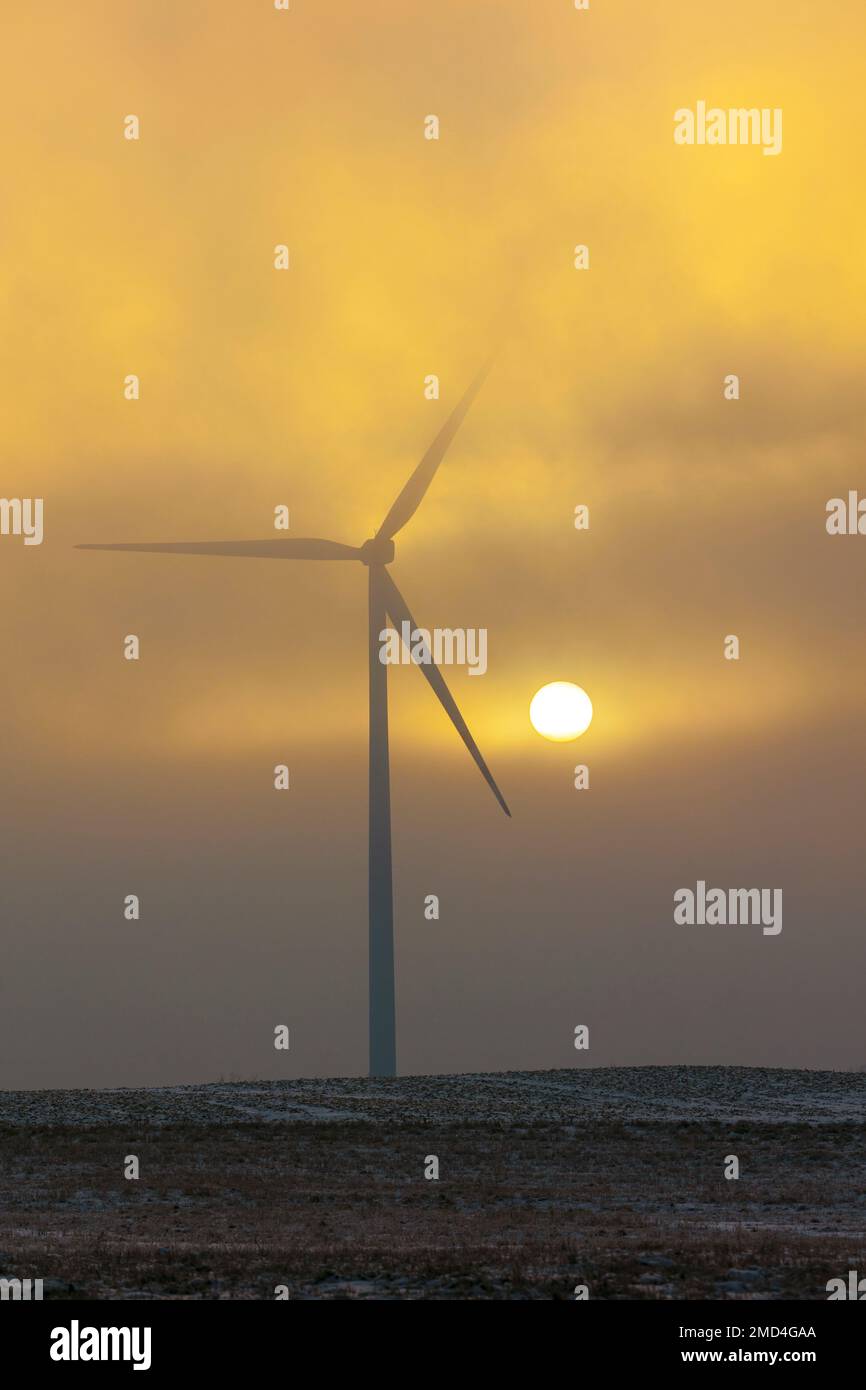 Fattoria eolica nel campo, Polonia, Europa Foto Stock