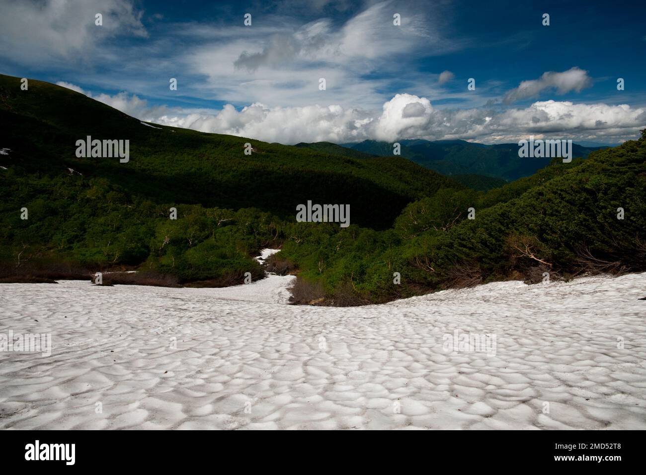 I campi di neve rimangono sul Monte Norikura durante i mesi estivi, Nagano, Giappone. Foto Stock