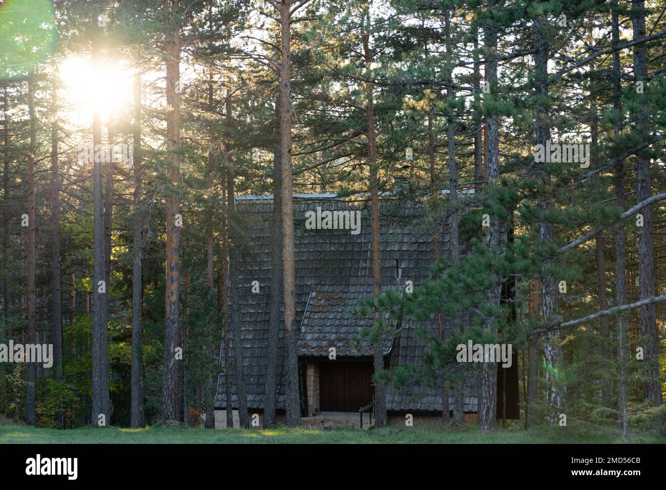 Casa in legno in una pineta al tramonto Foto Stock