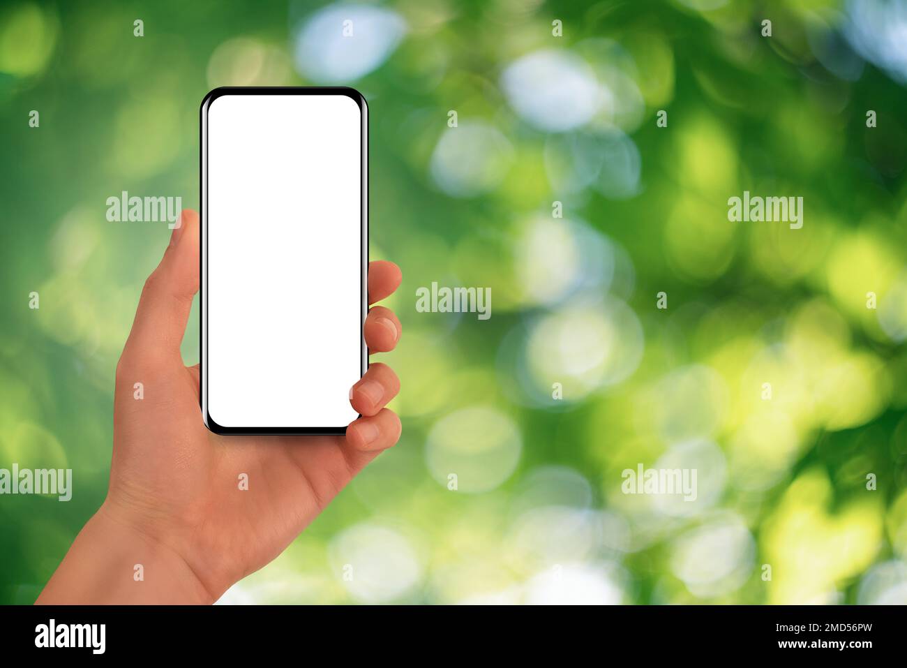 Mano con lo smartphone su sfondo verde Foto Stock