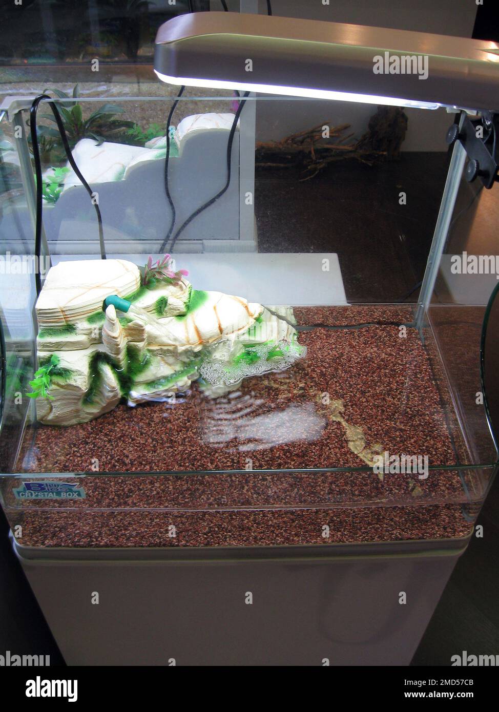 Aquaterrarium per scivoli, terrapine e tartarughe di laghetto Foto Stock