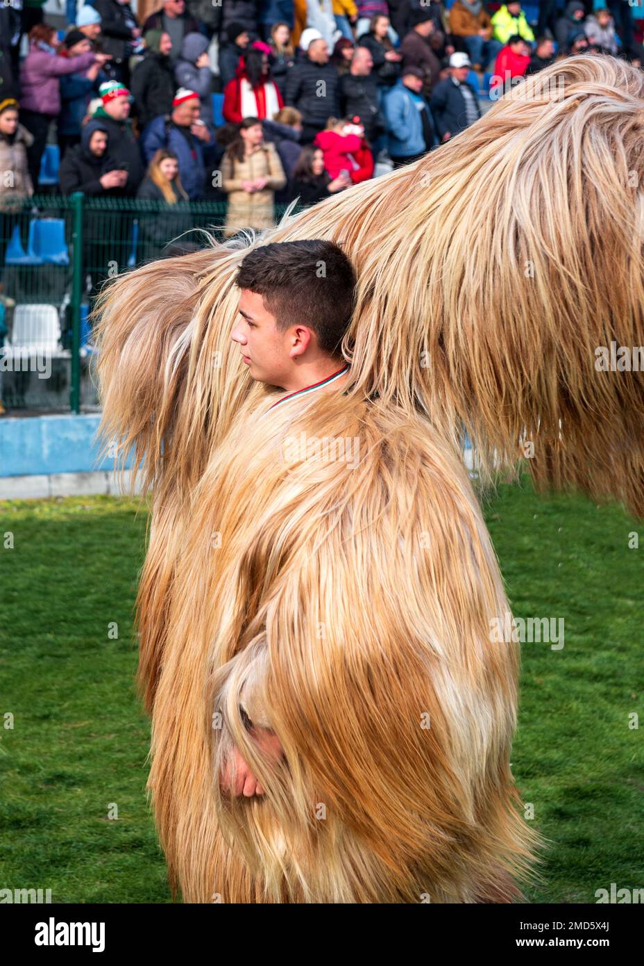 Il giovane ballerino di Kukeri chiamato Babuger con maschera al festival invernale annuale di Simitlia a Simitli, nella contea di Blagoevgrad, Bulgaria Foto Stock