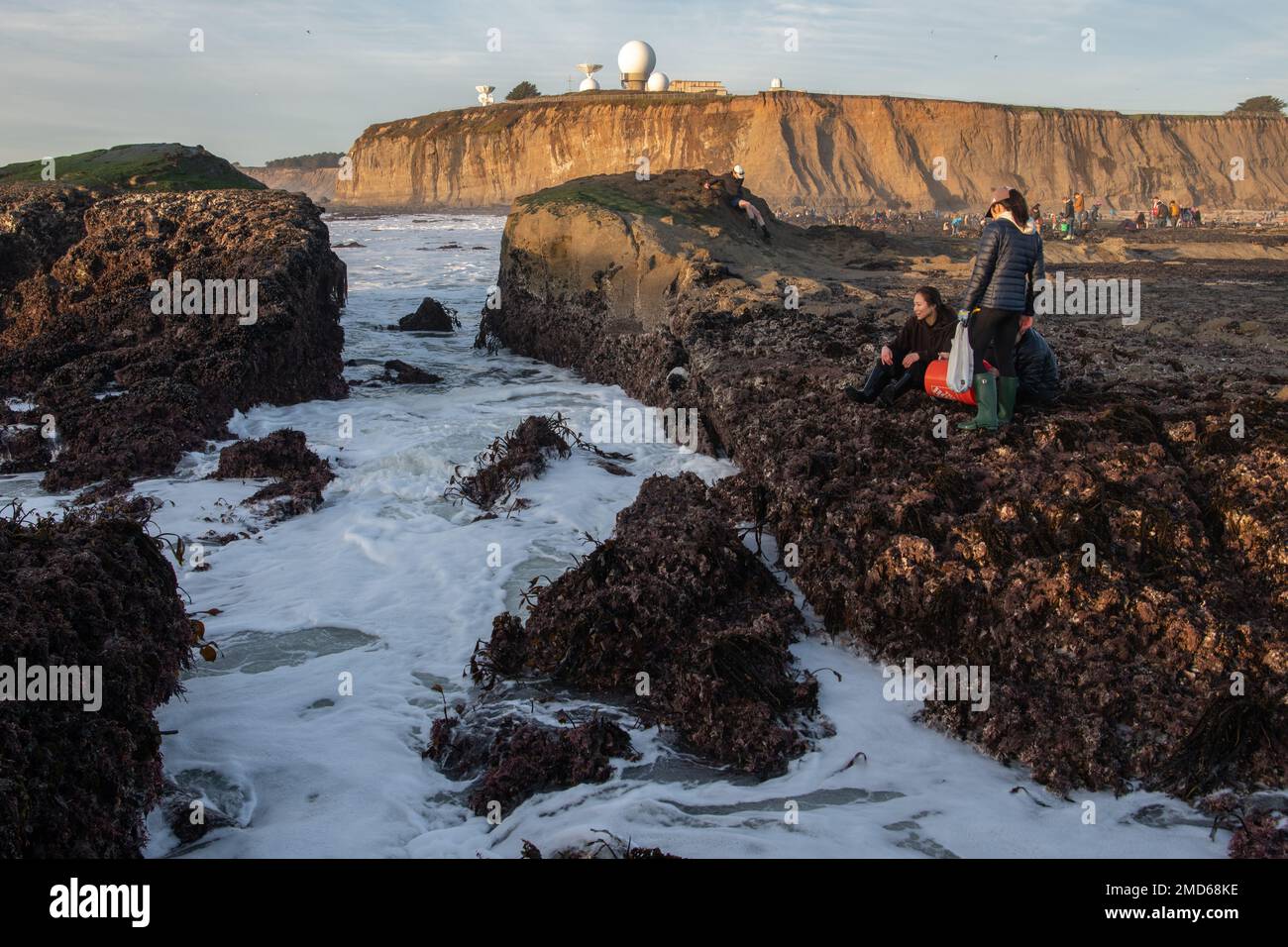 Il promontorio di Pillar Point nella zona della baia di San Francisco in California e' un luogo popolare per la raccolta e la raccolta della vita marina. Foto Stock