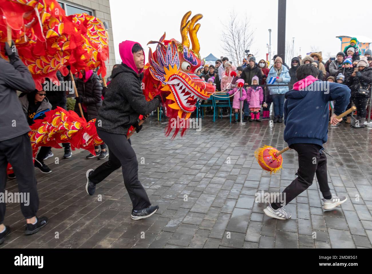 Detroit, Michigan, Stati Uniti. 22nd Jan, 2023. L'Organizzazione americana taiwanese del Michigan celebra il Capodanno lunare con una sfilata, una danza dei leoni e una danza dei draghi al Valade Park. Credit: Jim West/Alamy Live News Foto Stock