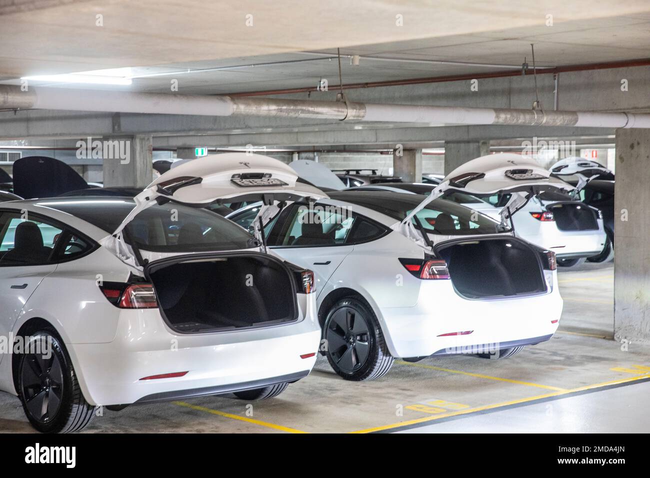 Vetture Tesla modello 3 in bianco, con stivali aperti, in attesa che i clienti si ritirino dalla concessionaria Sydney, Sydney, NSW, Australia Foto Stock