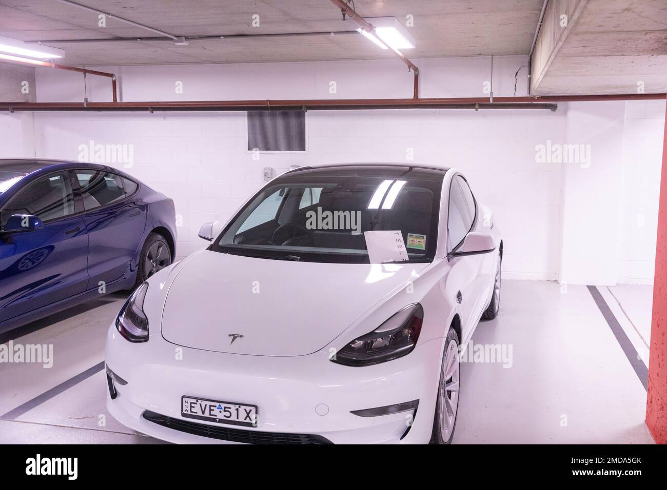 Bianco e blu Tesla Model 3 auto attendono la raccolta da parte dei proprietari, file di consegna sul parabrezza, Chatswood Sydney, Australia, sicuro nel parco sotterraneo Foto Stock