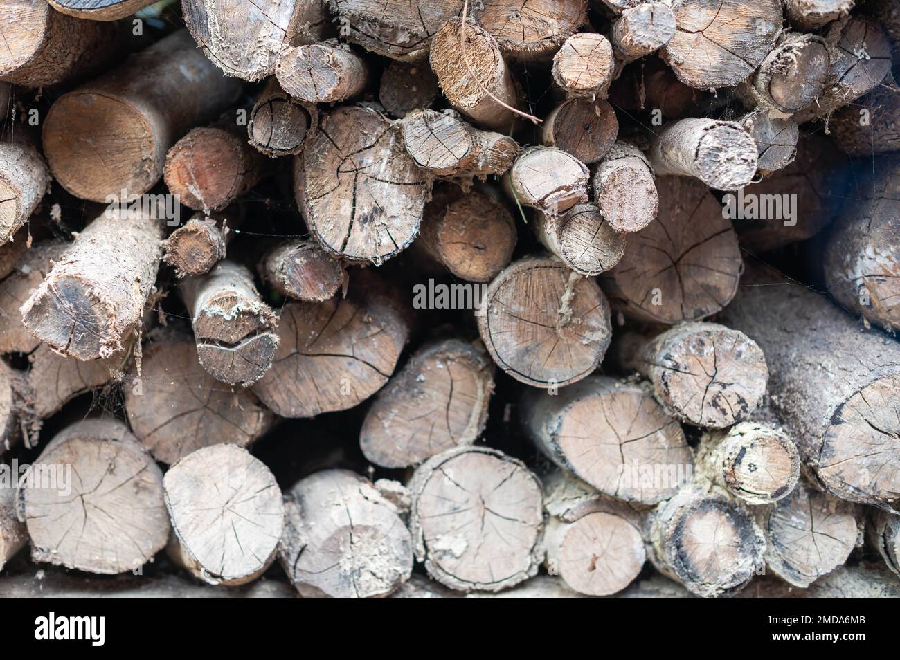 Pila di vecchi log. Materiale in legno per il riscaldamento Prepare for burn in inverno freddo. Foto Stock