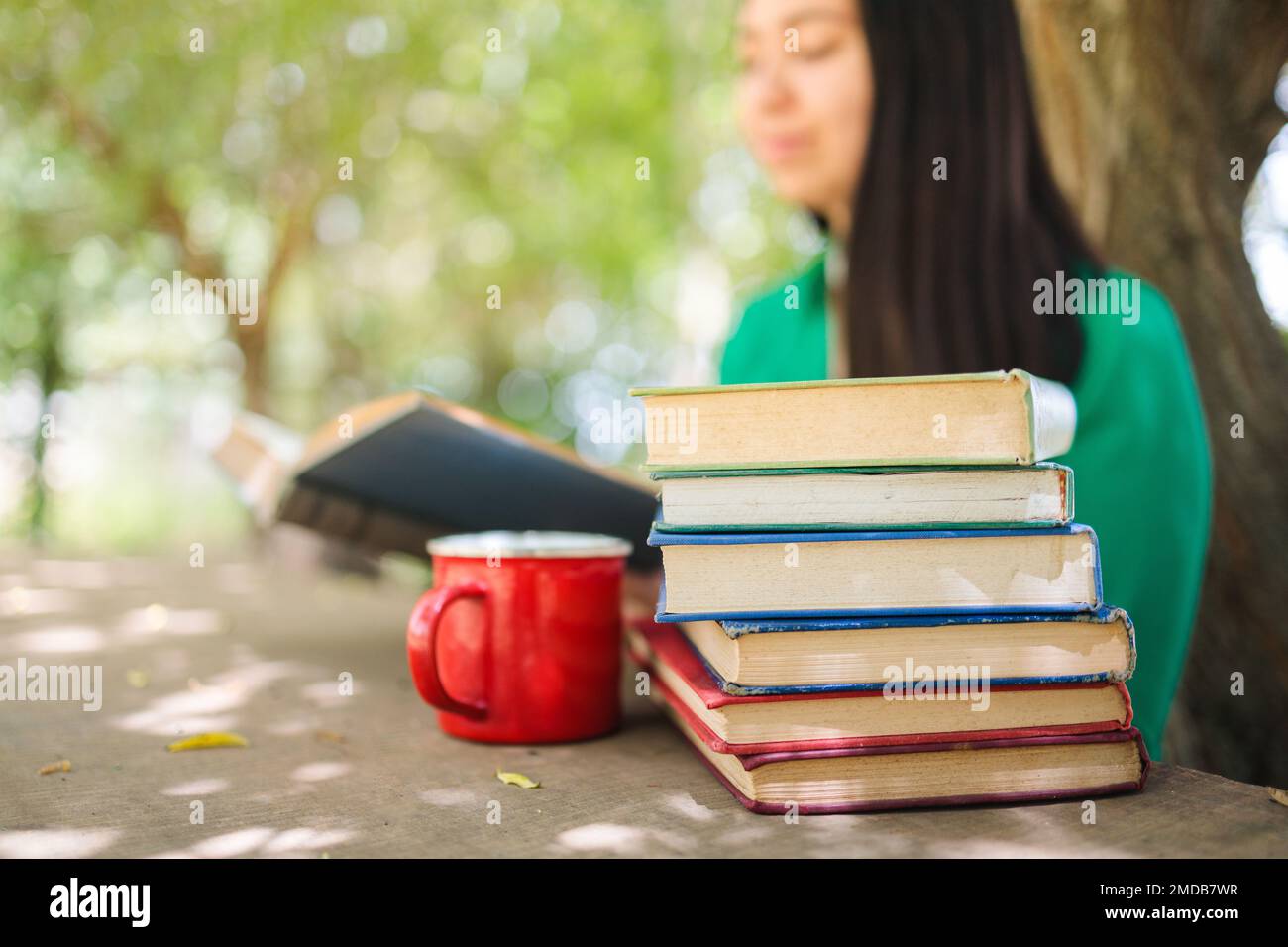 Giovane donna defocusa che legge libri accatastati nel campo sotto un albero di salice. Messa a fuoco selettiva Foto Stock