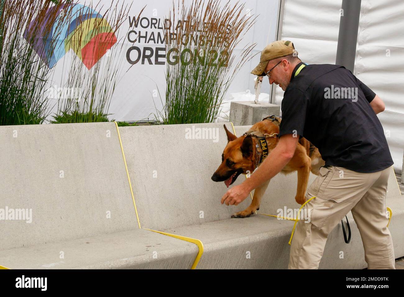 Matthew Atwood, proprietario dei servizi tattici K-9, lavora con il suo K-9, Malinois Zhukov, per rilevare i pericoli al World Track and Field Championships, University of Oregon, a Eugene, Ore., il 16 luglio, 2022. Atwood e Zhukov sono membri di un Joint Hazard Assessment Team (JHAT), composto da membri del 102nd Weapons of Mass Destruction - Civil Support Team, Oregon National Guard e altre agenzie locali, statali e federali. Il team di agenzie è pronto a prevenire e rispondere ai rischi chimici, biologici, radiologici, nucleari ed esplosivi (CBRNE). Il team ha pattugliato regolarmente Foto Stock