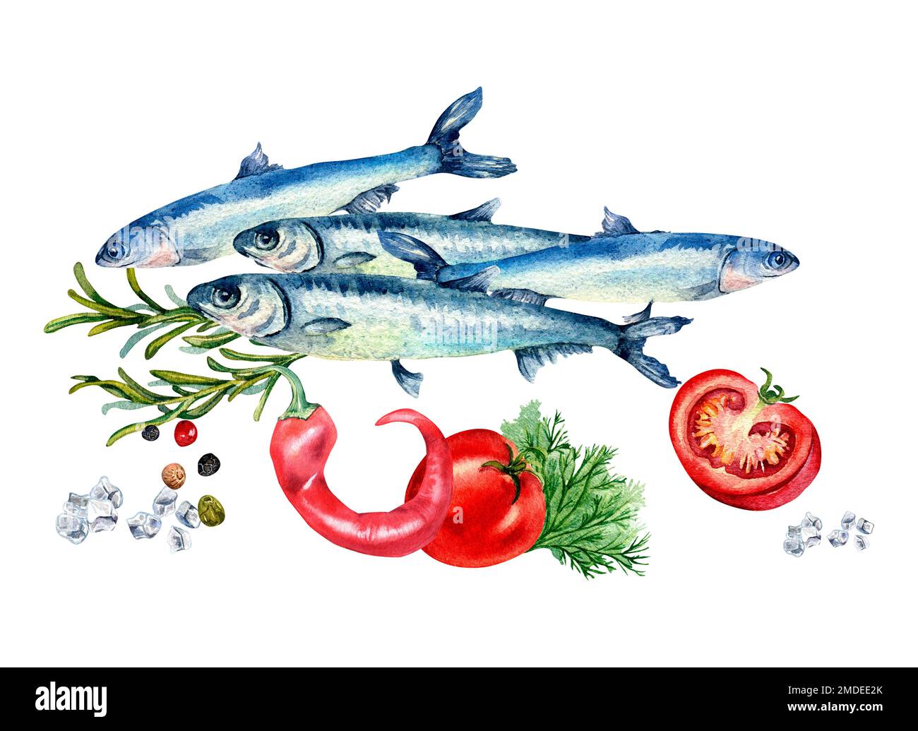 Composizione di acciughe e pomodori acquerello illustrazione isolata su bianco. Pesce di mare fresco, peperoncino, spezie, rosmarino, olive disegnate a mano. Des Foto Stock