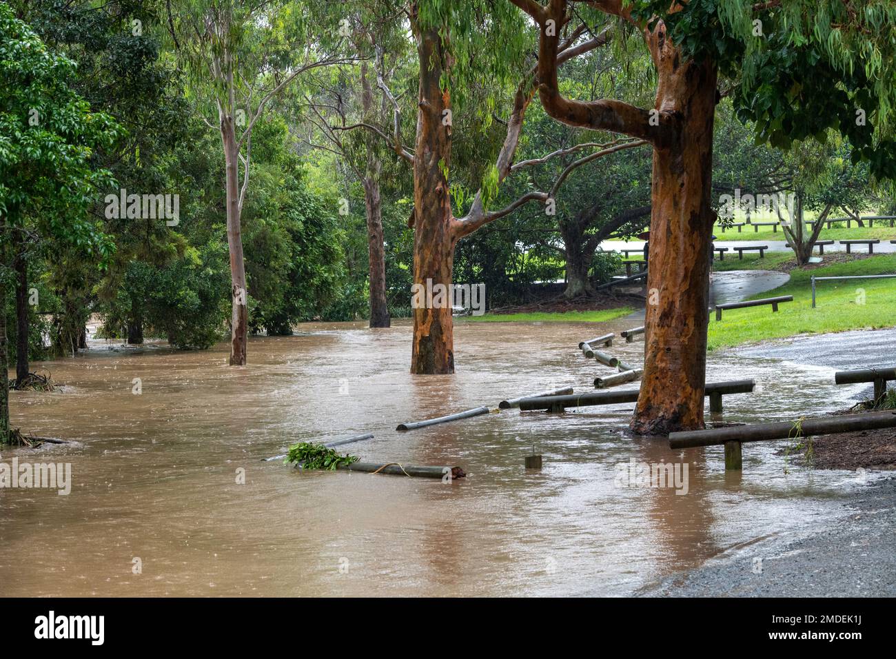 Alluvione al Teralba Park di Mitchelton durante l'evento di alluvione estrema del 2022 febbraio in Australia Foto Stock