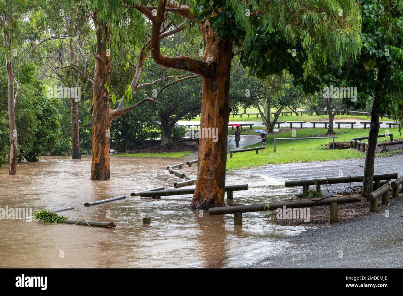 Persone che ispezionano le acque alluvionali al Teralba Park di Mitchelton durante l'evento di alluvione estrema del 2022 febbraio in Australia Foto Stock