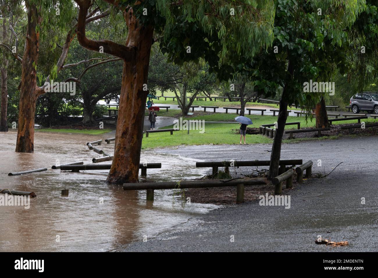 Persone che ispezionano le acque alluvionali al Teralba Park di Mitchelton durante l'evento di alluvione estrema del 2022 febbraio in Australia Foto Stock