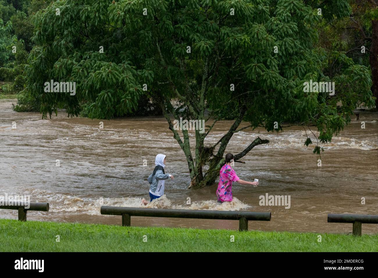 I bambini giocano pericolosamente in acqua alluvionale al Teralba Park di Mitchelton durante l'evento di alluvione estrema del 2022 febbraio in Australia Foto Stock