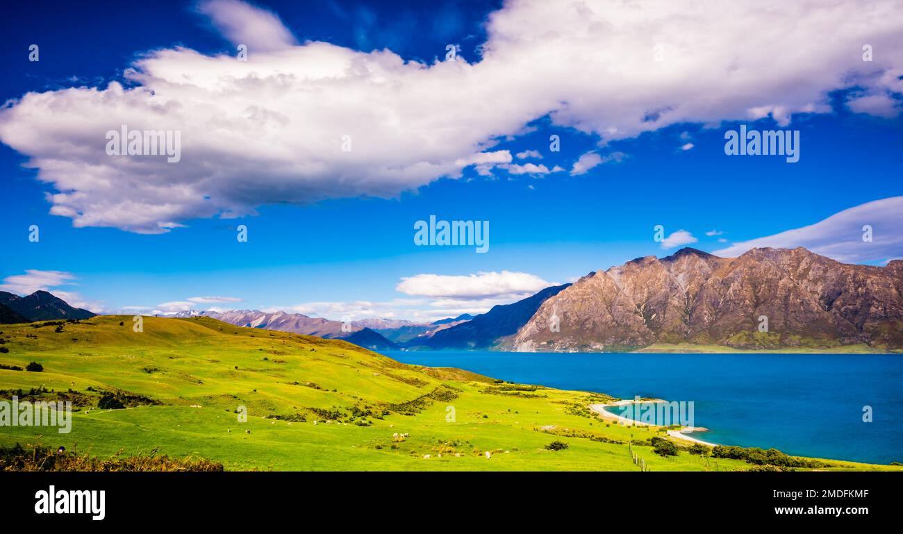 Farm Land e il lago Hawea sotto il cielo blu Foto Stock