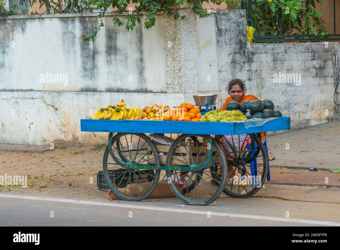 Puttaarthi, Andra Pradesh, India - Gennaio 18,2023: Donna indiana che vende frutta per strada a Puttaarthi Foto Stock