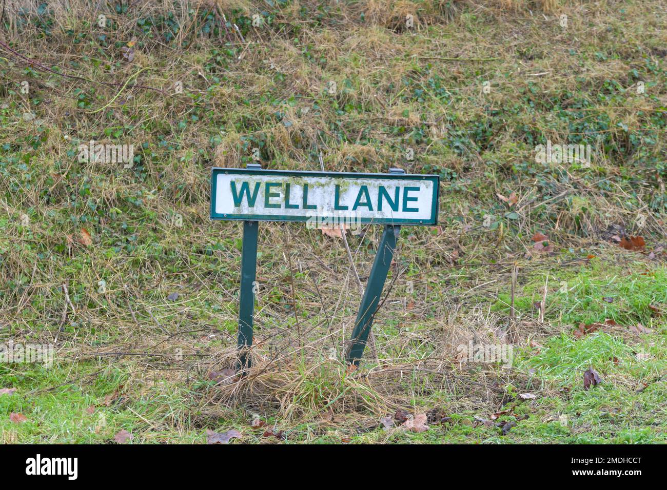 Un segno rurale inglese strada Well Lane, corsia di campagna, erba coperta verge, meraviglioso segno Foto Stock