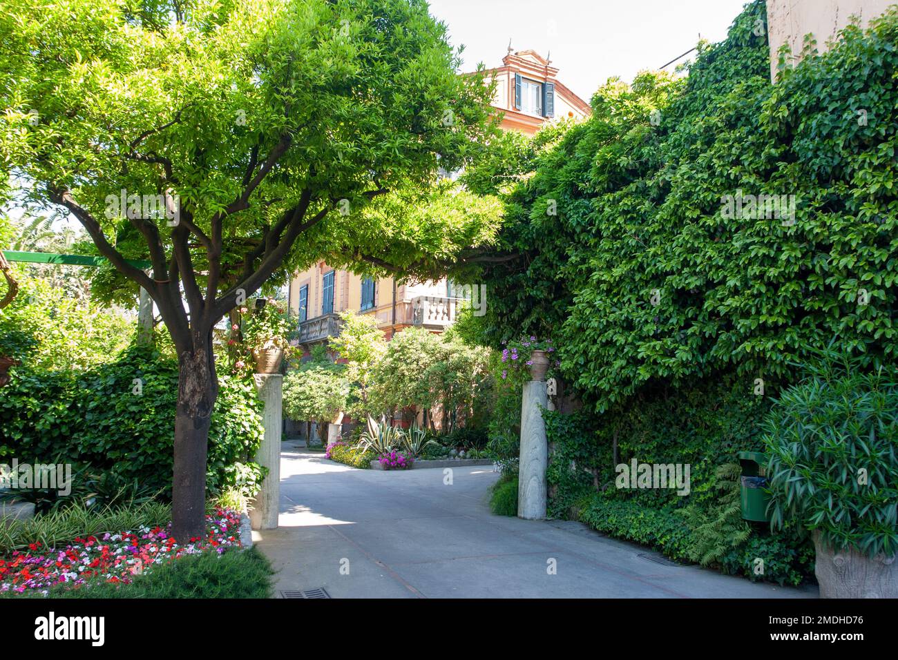 Centro di Sorrento, Sorrento, Italia Foto Stock