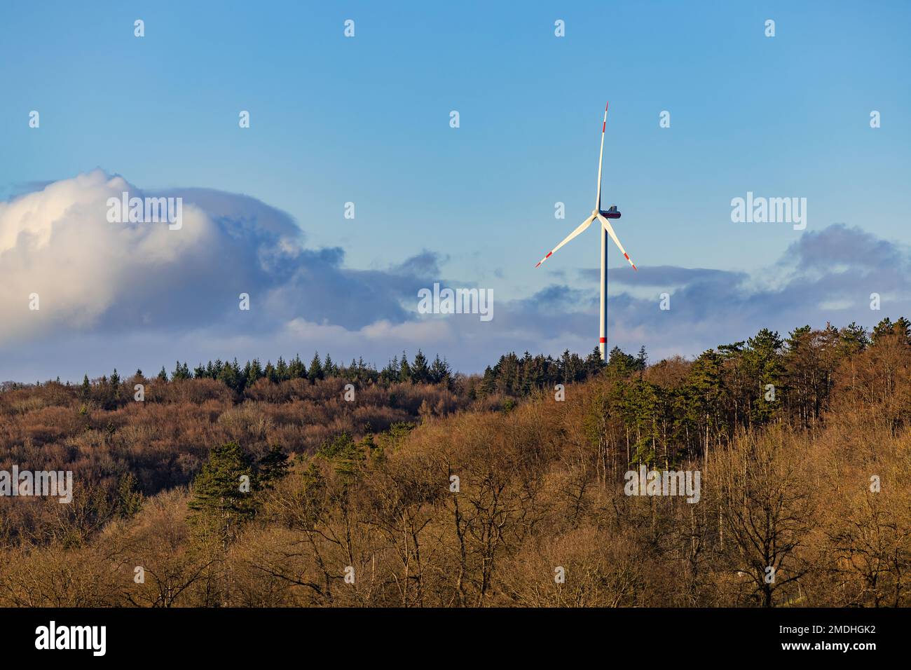 Paesaggio con un'unica turbina eolica e molti alberi in una foresta mista per produrre energia sostenibile in Germania Foto Stock