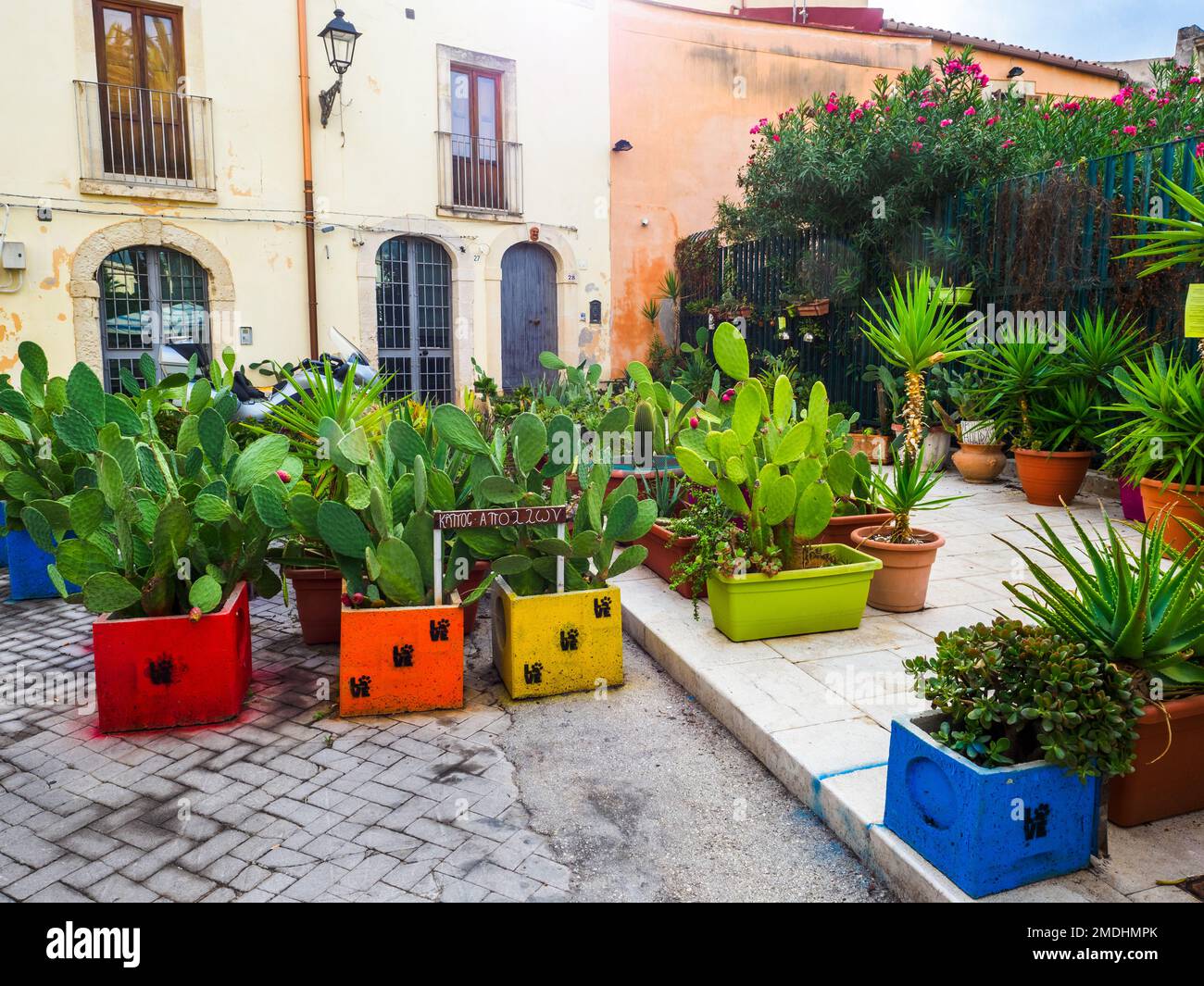 Un cortile con cactus nel centro storico di Siracusa nell'isola di Ortigia - Sicilia, Italia Foto Stock