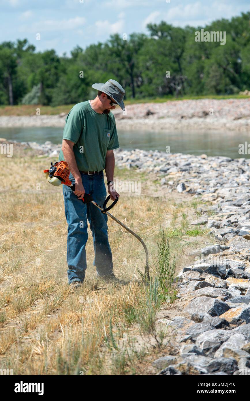 Un membro degli Stati Uniti Bureau of Reclamation bordi erbacce sulla riva del fiume Yellowstone in preparazione per una cerimonia di taglio del nastro, 25 luglio 2022, vicino a Glendive, Month. Foto Stock