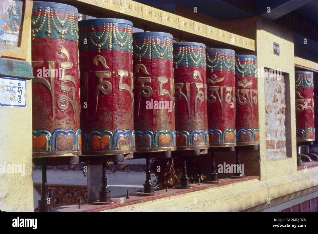 Situato nella regione occidentale dell'Himachal, Dharamshala è un nome di spicco nel tour buddista dello stato, come casa del Dalai lama e di tutti i tibetani in esilio. E' un centro ben noto per studiare il Buddismo, i suoi sutra, tantra e i principali testi ad esso correlati. Fin da quando il Dalai lama e il suo entourage sono sfuggiti all'invasione cinese del Tibet in 1959 e sono stati concessi una nuova sede nel distretto di Dharamsala, Dharamshala è la capitale invernale di Himachal Pradesh, India. Foto Stock