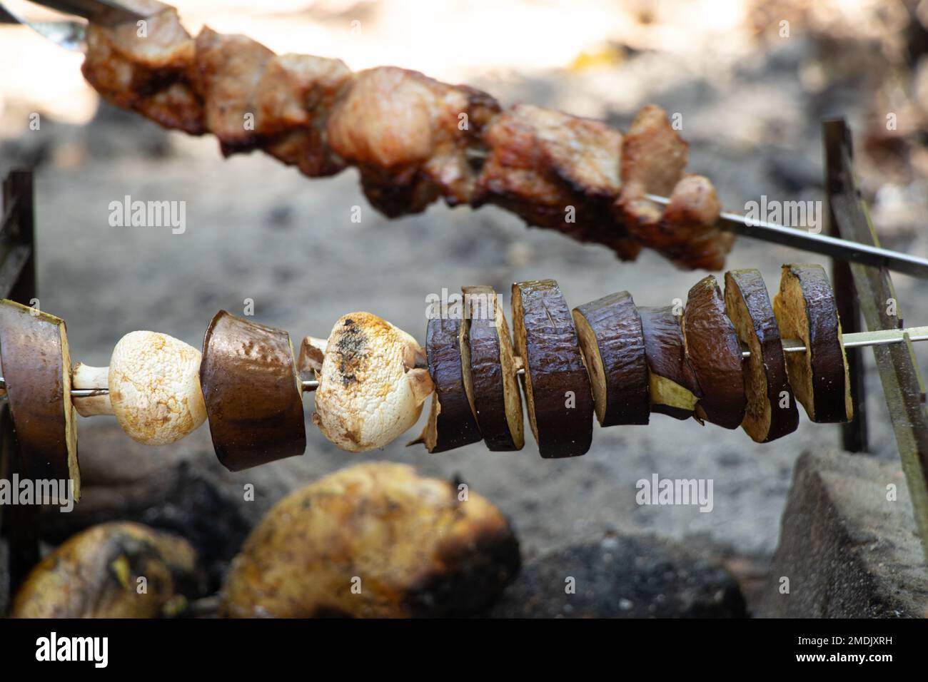 funghi fritti e pomodori con melanzane su spiedini sul fuoco nella foresta, verdure fritte sul fuoco, shashlik vegetale Foto Stock