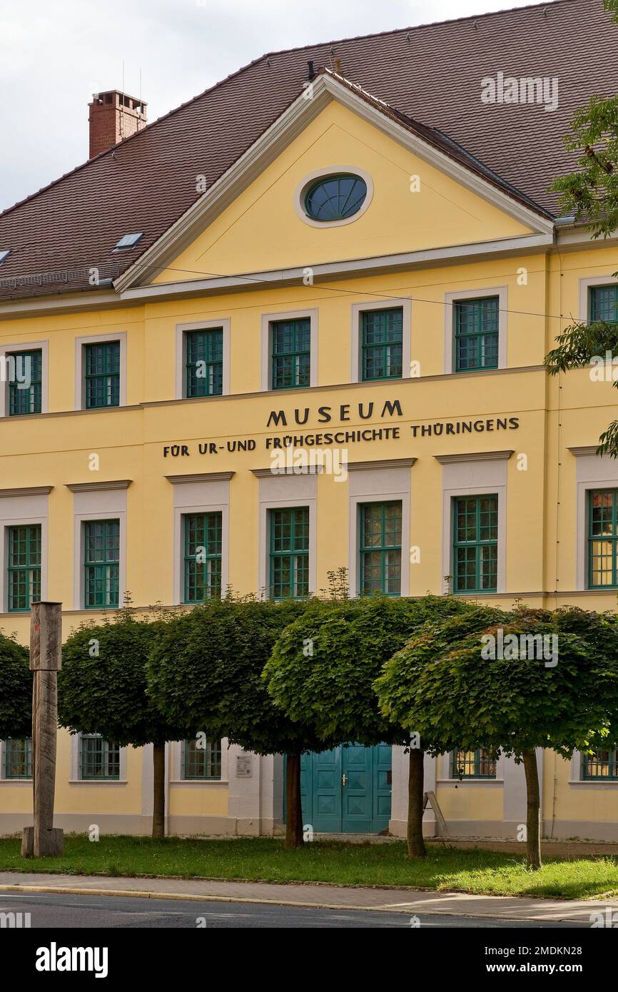 Museo della preistoria e della storia antica della Turingia, Germania, Thueringen, Weimar Foto Stock