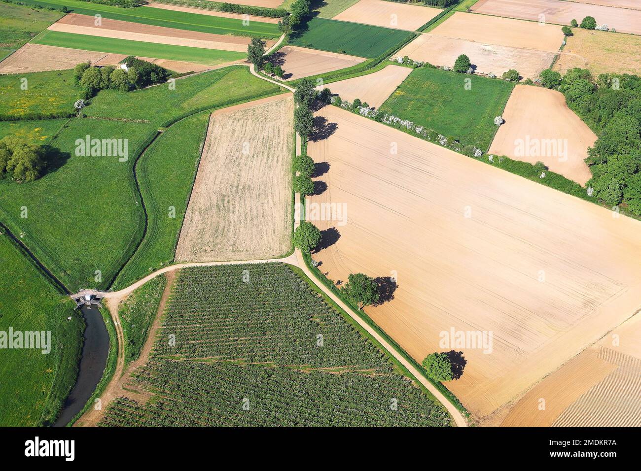 Veduta aerea del paesaggio del campo in primavera, Belgio, Vlaams-Brabant, Demerbroeken, Zichem Foto Stock
