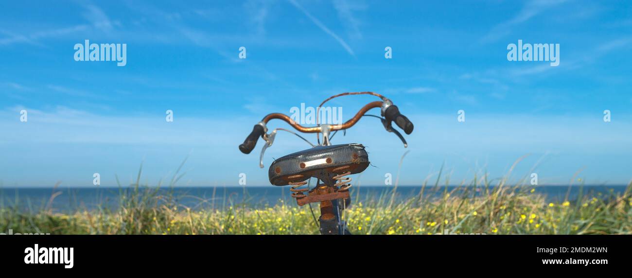 Una vista panoramica di una vecchia bicicletta nel campo verde sullo sfondo del cielo blu Foto Stock