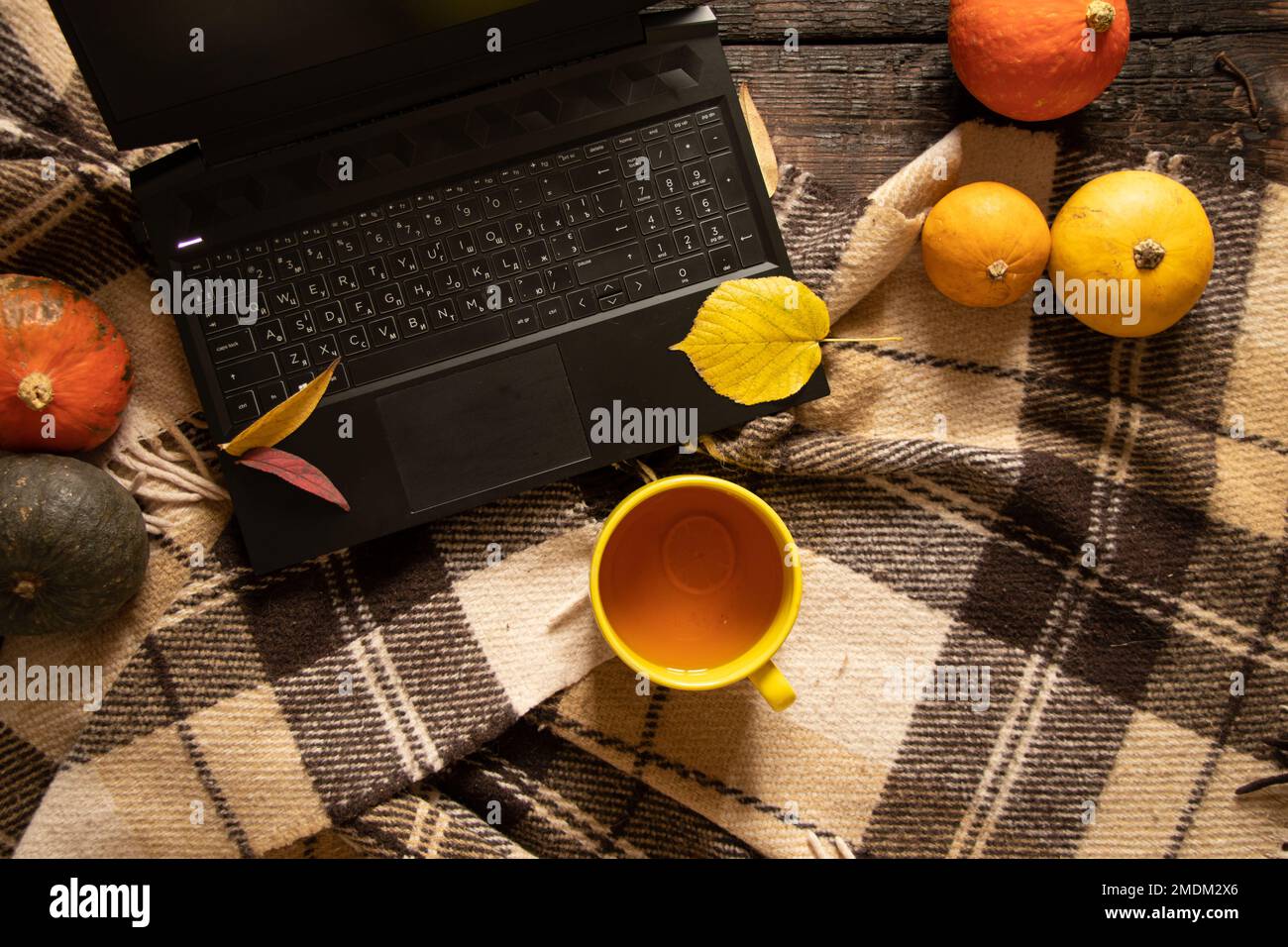computer portatile e una tazza con il caum sul tavolo accanto alla zucca e foglie d'autunno asciutte, umore autunnale, lavoro freelance a casa, computer portatile sul tavolo Foto Stock