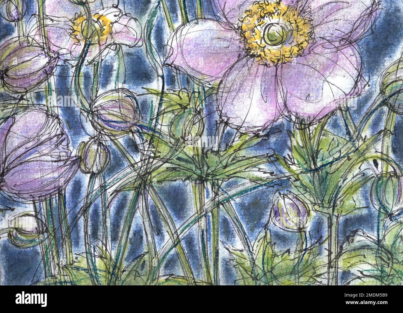 Illustrazione a colori dei fiori rosa. Foto Stock