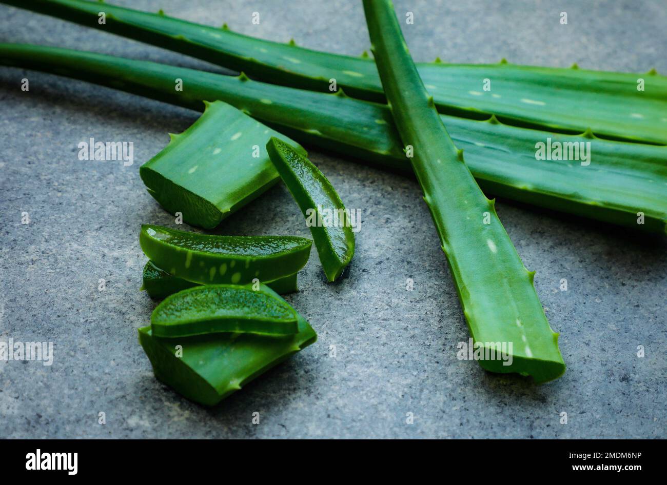 Aloe vera affettata su fondo grigio e foglia fresca di aloe vera. sfondo per il centro benessere. Foto Stock