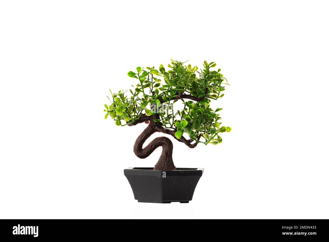 Modellino Di Albero Baobab In Miniatura, In PVC, Per Diorami E Case Delle Bambole. Perfetto Per Il Fai Da Te E L'artigianato Creativo. (Verde)