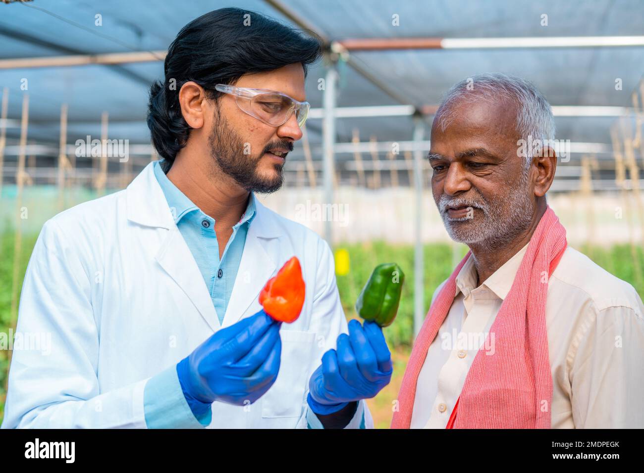 Agro scienziato che spiega da coltura vegetale a coltivatore di villaggio indain - concetto di guida, biotecnologia e crescita dell'agricoltura moderna Foto Stock