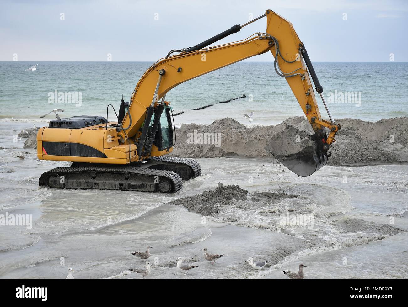 Draga per bonifica di terreni in un cantiere nel Mar Baltico vicino ad  Ahrenshoop, Meclemburgo-Pomerania occidentale, Germania Foto stock - Alamy