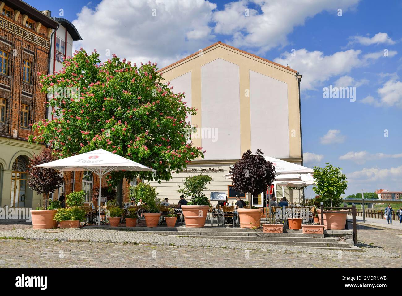 Vecchio magazzino, Frankfurter Kartoffelhaus, Holzmarkt, Francoforte sul meno, Brandeburgo, Germania Foto Stock