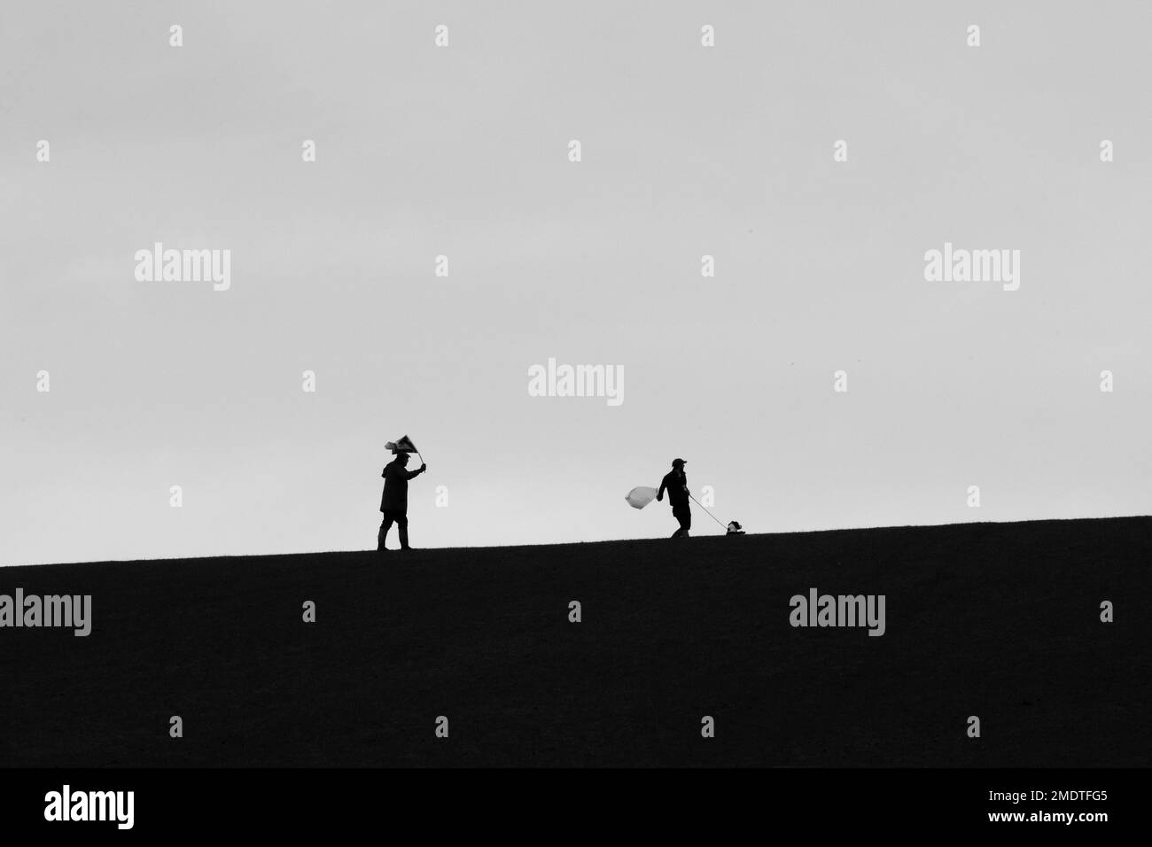 fruste su un fagiano sparare Foto Stock