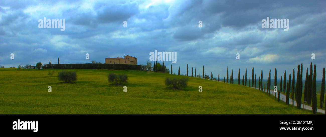 Panorama delle colline toscane, un prato pieno di fiori gialli e una strada fiancheggiata da cipressi, un cielo di piombo che spicca sullo sfondo Foto Stock