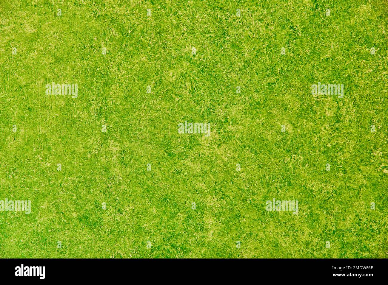 vernice verde per pareti per disegni grafici Foto Stock